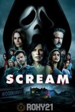a poster for a movie