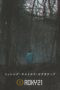 Missing Child Videotape